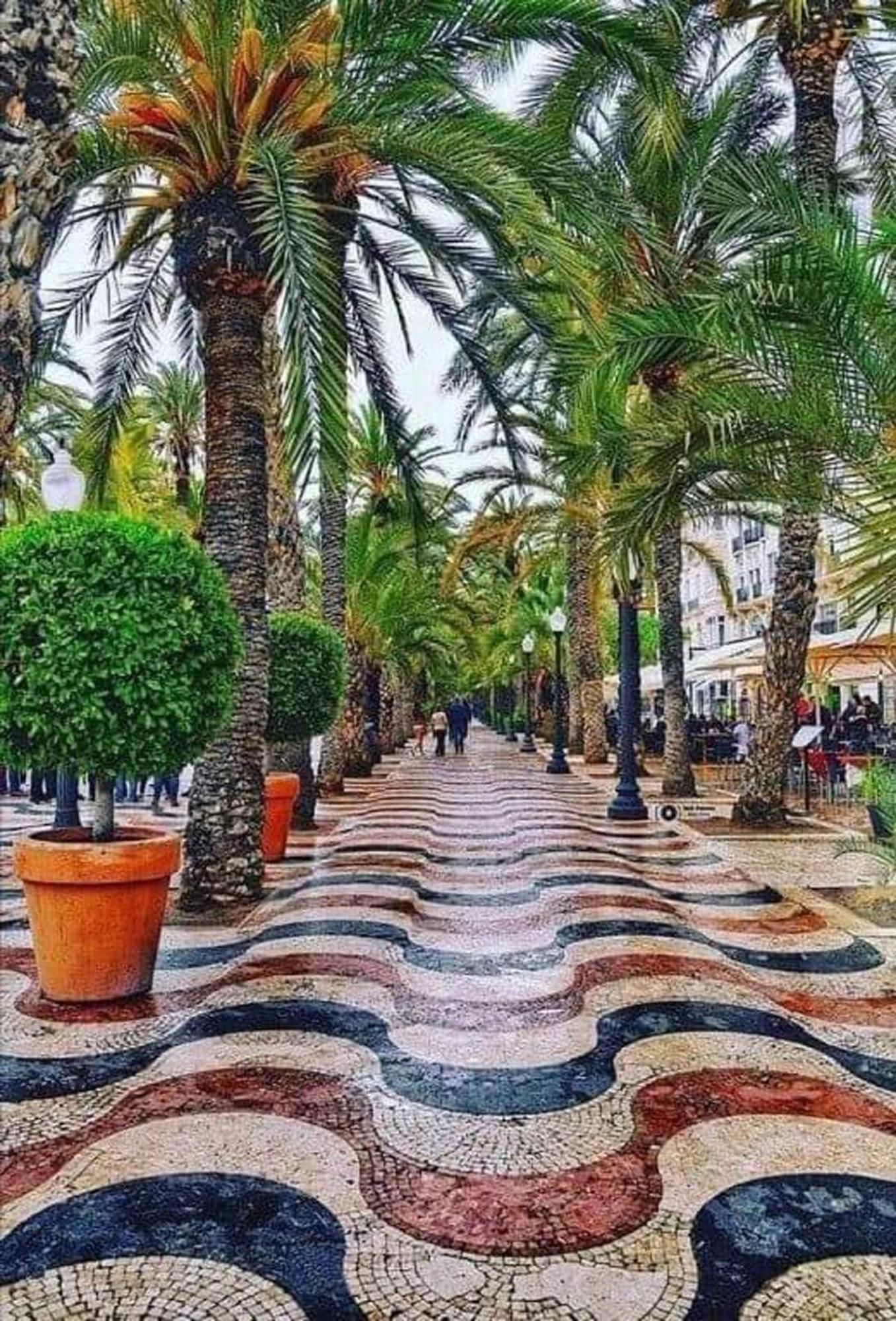 -Saint Thomas- Alicante Old Town Zewnętrze zdjęcie